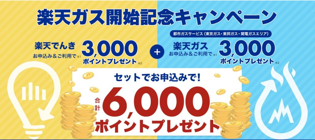 楽天でんきのキャンペーン